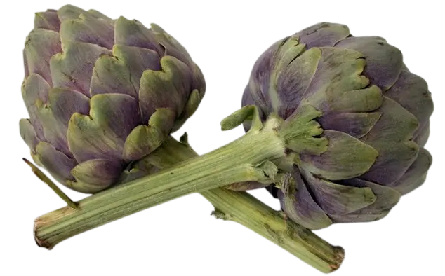 Alcachofa