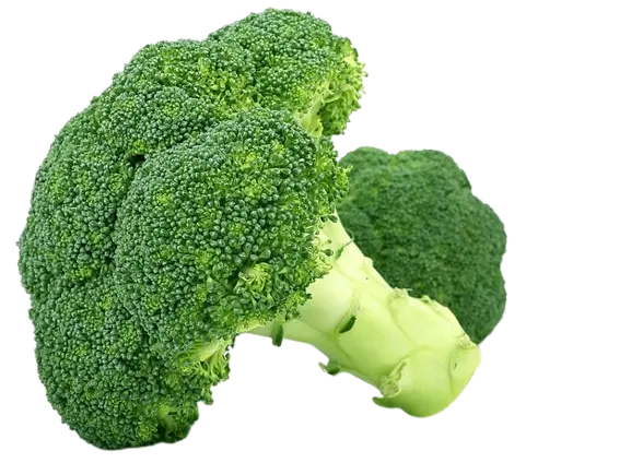 Brócoli