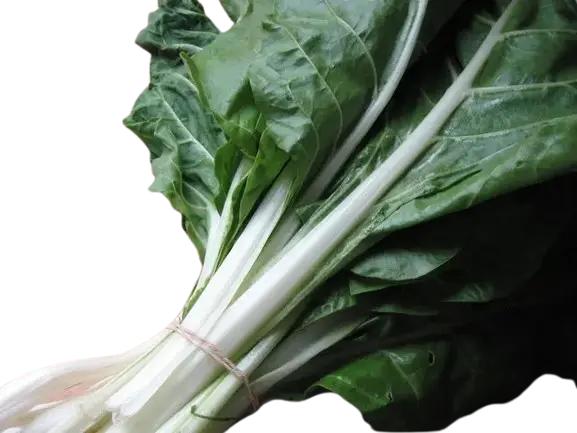 Acelga Verde