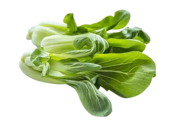 Pak Choi