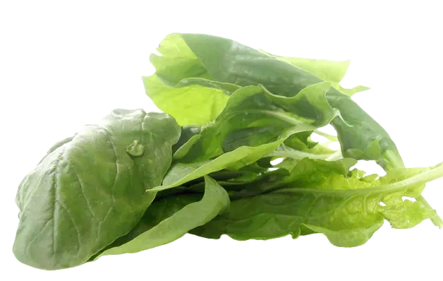 Espinaca