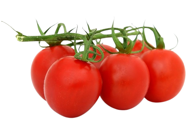 Tomate