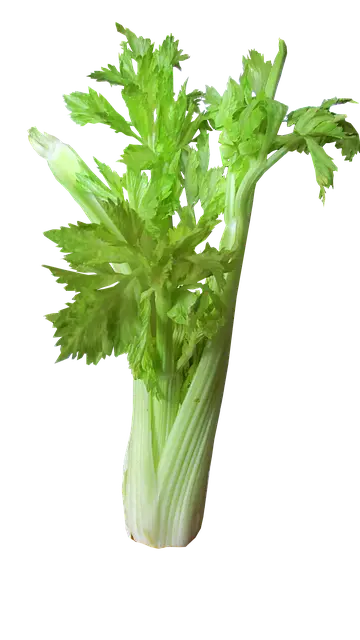White Celery
